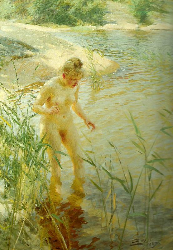 Anders Zorn reflexer oil painting image